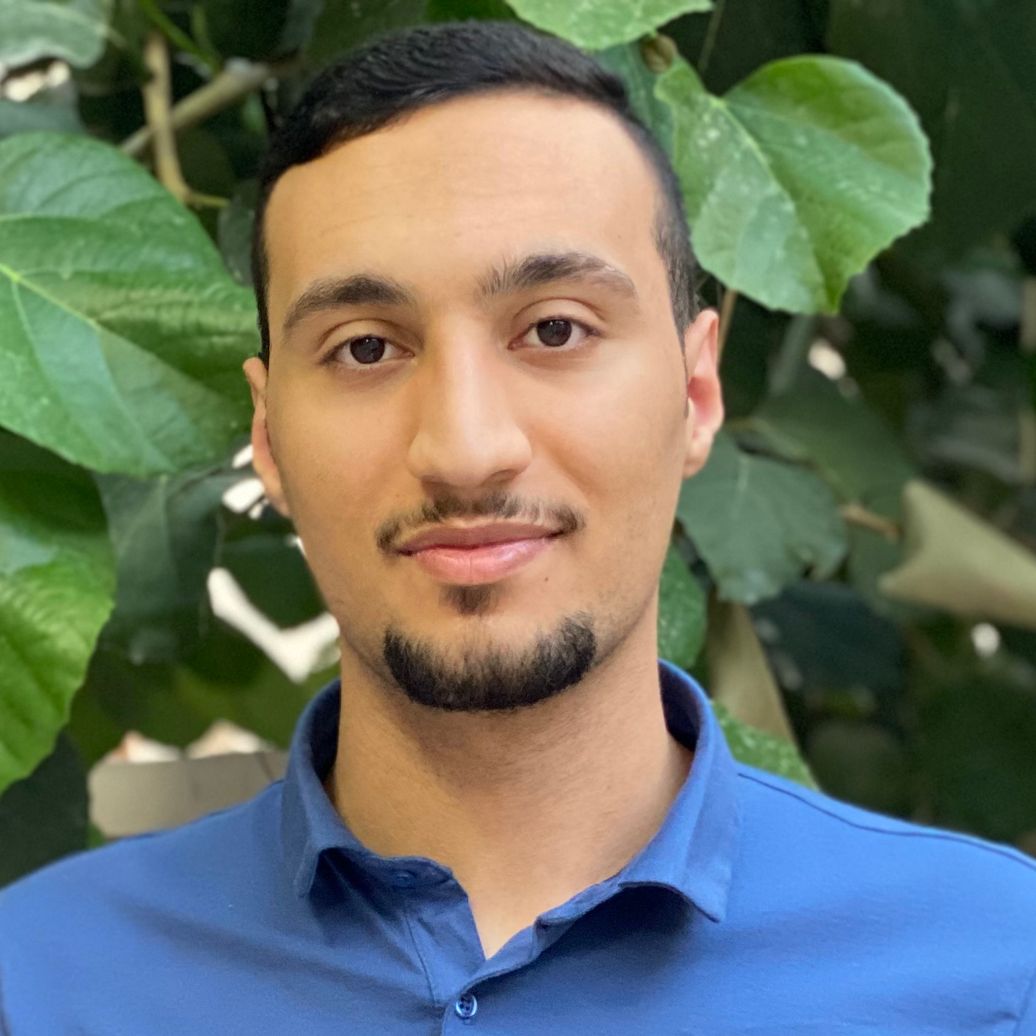 Tutor Profile